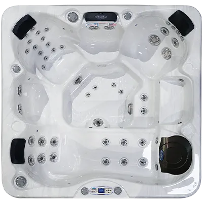 Avalon EC-849L hot tubs for sale in Mount Prospect