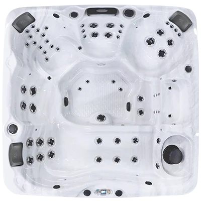 Avalon EC-867L hot tubs for sale in Mount Prospect