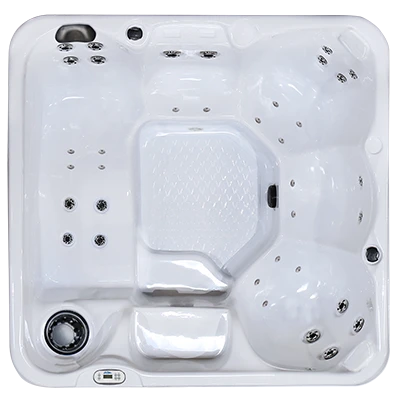 Hawaiian PZ-636L hot tubs for sale in Mount Prospect